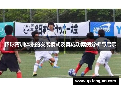 棒球青训体系的发展模式及其成功案例分析与启示