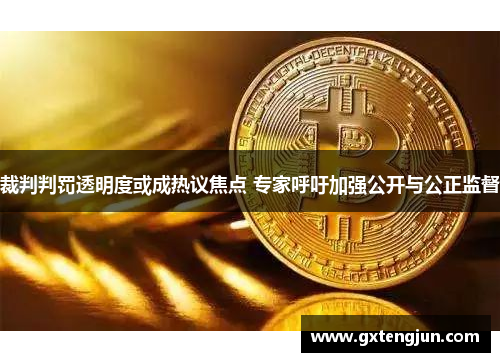 裁判判罚透明度或成热议焦点 专家呼吁加强公开与公正监督