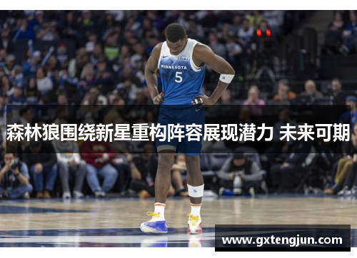 森林狼围绕新星重构阵容展现潜力 未来可期